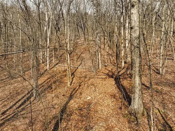 Lot 6 Mount Mincie Road, Murrayville, GA 30564