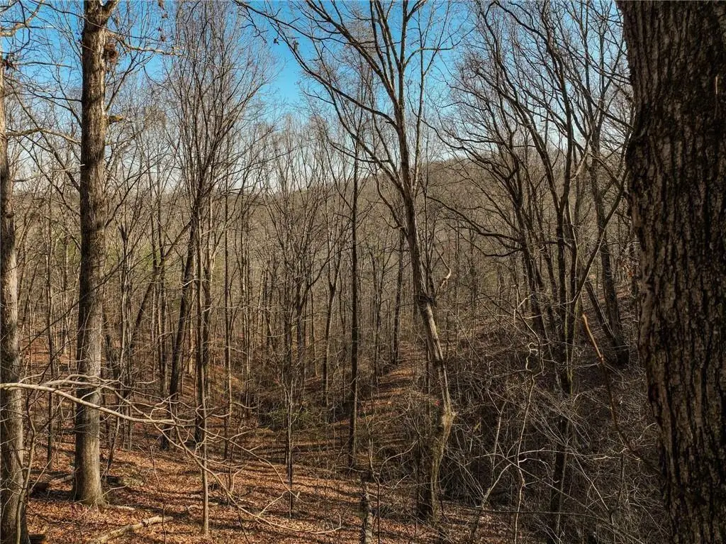Lot 10 Mount Mincie Road, Murrayville, GA 30564 - #1
