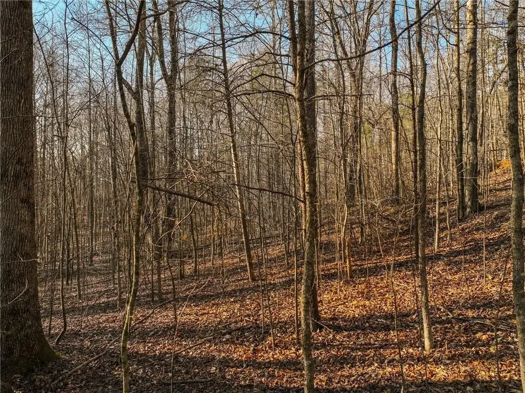 Lot 12 Mount Mincie Road, Murrayville, GA 30564 - #1