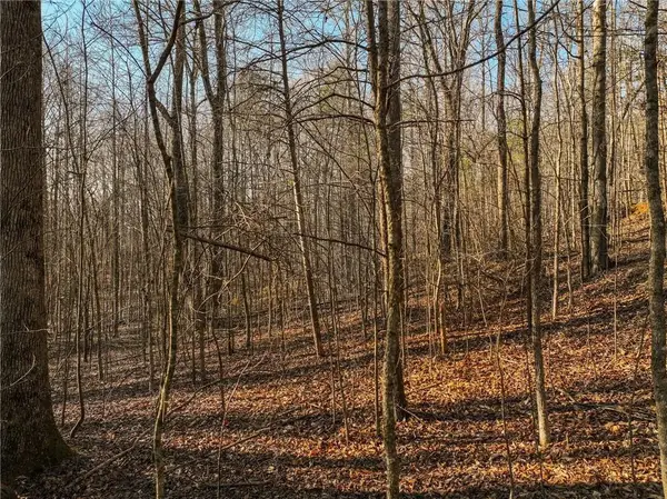 Lot 12 Mount Mincie Road, Murrayville, GA 30564