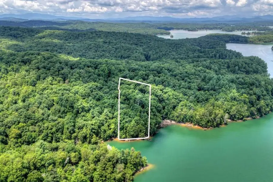 LT 60 Necowa Cove Overlook, Blue Ridge, GA 30513 - #2