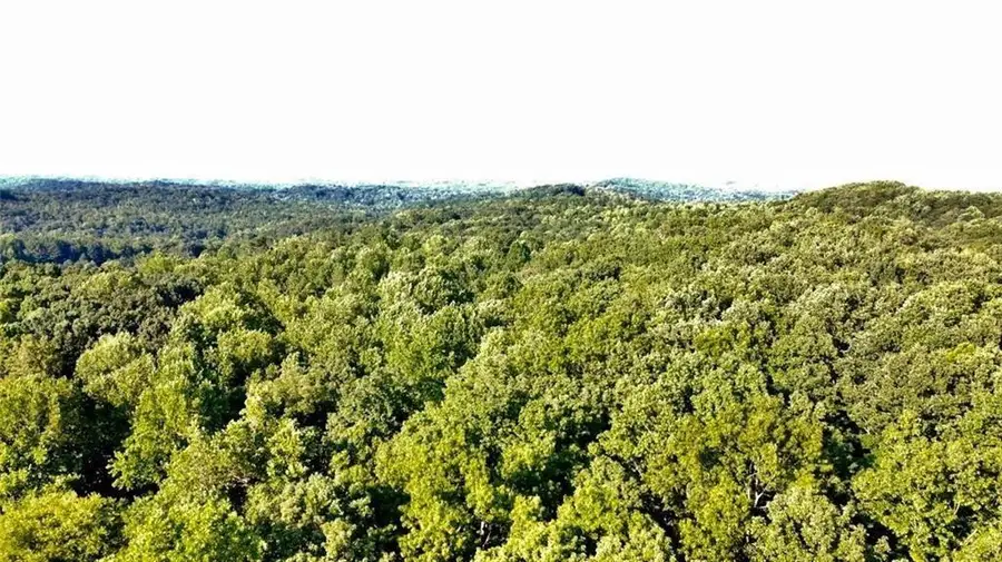00 Dawsonville Highway, Gainesville, GA 30506 - #2