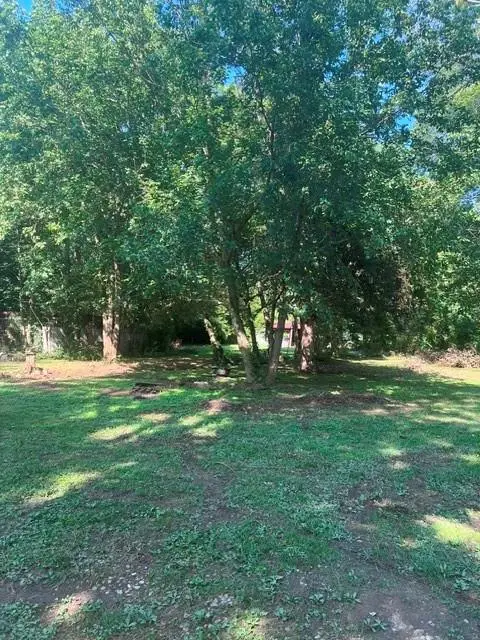 2119 Ooltewah Ringgold Road, Ringgold, GA 30736 - #1