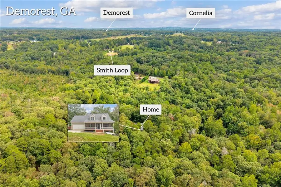 256 Cross Creek Trail, Demorest, GA 30535 - #2