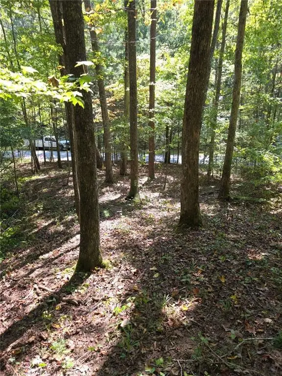 LOT 6 Heatherwood Way, Talking Rock, GA 30175 - #3