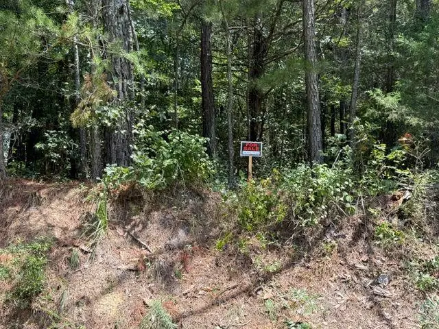 0 Iron Hill Road Lot 1, Taylorsville, GA 30178 - #1