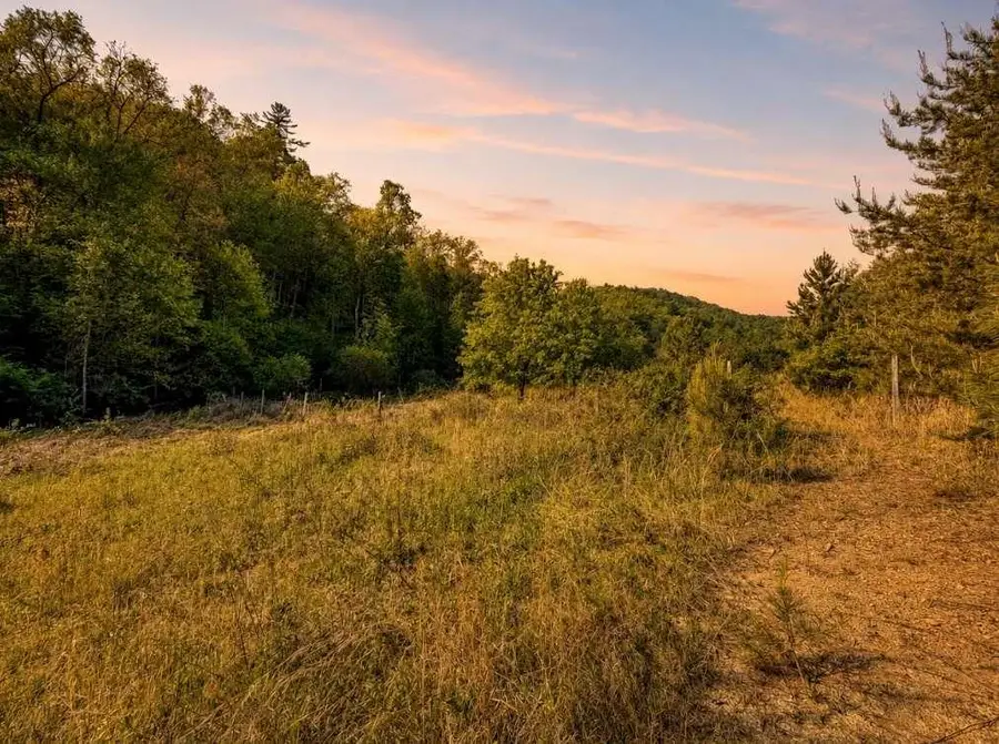 40 AC Valley Lake Road, Mineral Bluff, GA 30559 - #2