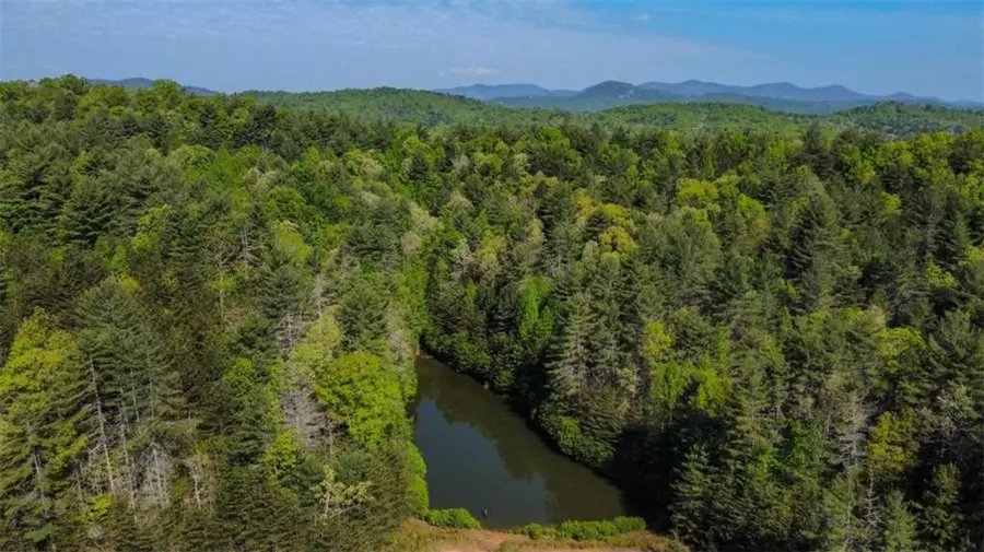 40 AC Valley Lake Road, Mineral Bluff, GA 30559 - #3