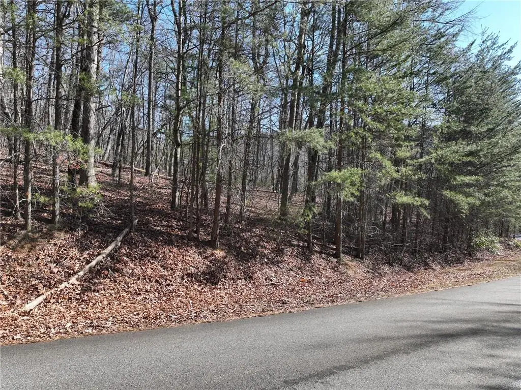 58 Saint Andrews Way, Ellijay, GA 30536 - #1