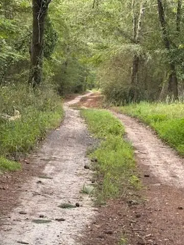 184 Mcbride Road, Fayetteville, GA 30215 - #3