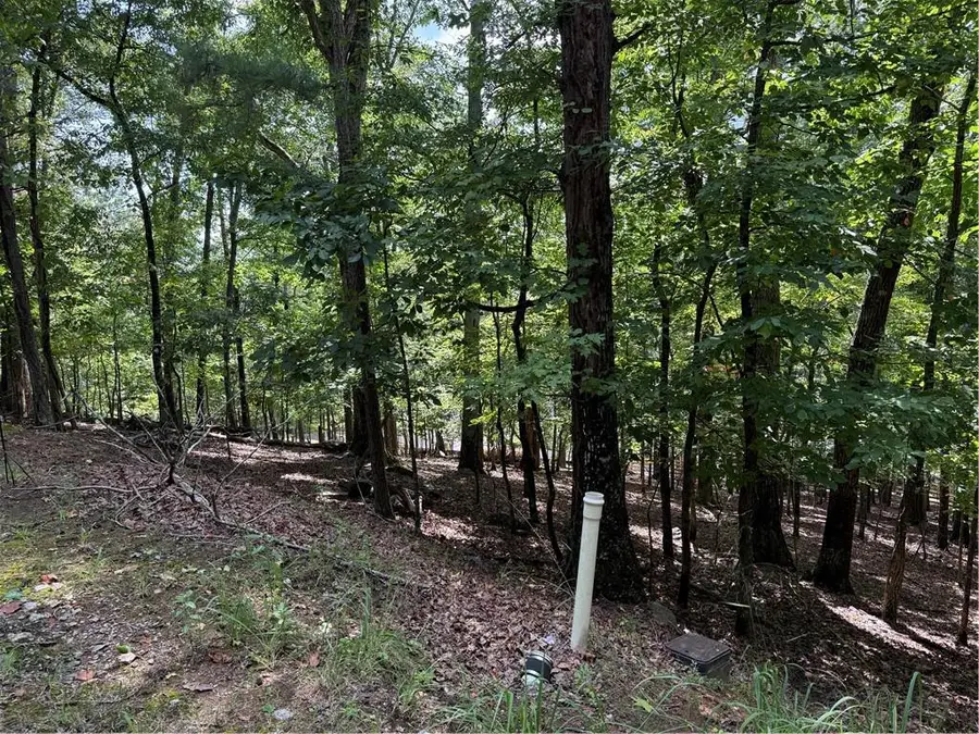 117 Tulip Tree Court, Waleska, GA 30183 - #2