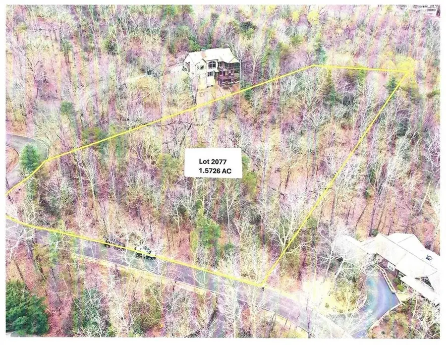 1183 Mcelroy Mountain Drive, Big Canoe, GA 30143 - #2