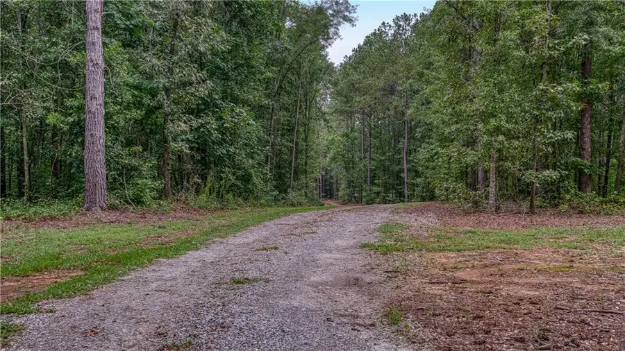 130 Levi Trail, Nicholson, GA 30565 - #3