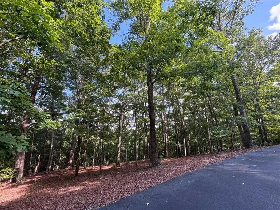 LOT 5 Westwood Avenue, Blairsville, GA 30512 - #3