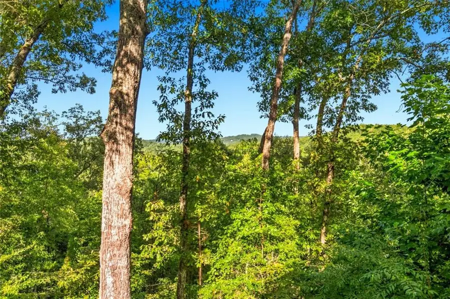 142 Oak Hill Drive, Mineral Bluff, GA 30559 - #2