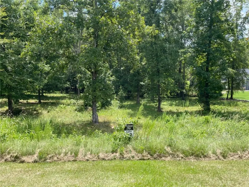 148 Harmony Bay Drive, Eatonton, GA 31024 - #1