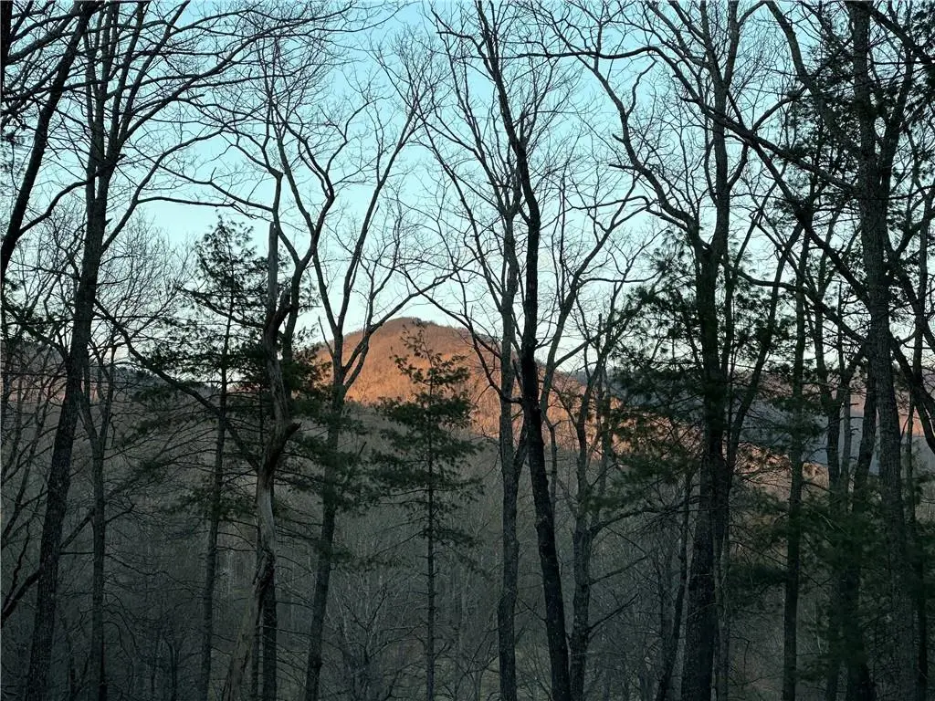 0 Camp Wahsega Road, Dahlonega, GA 30533 - #1