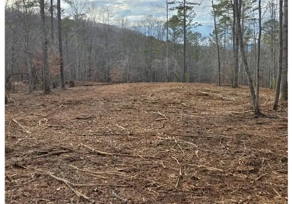 275 Tippens Road, Canton, GA 30114
