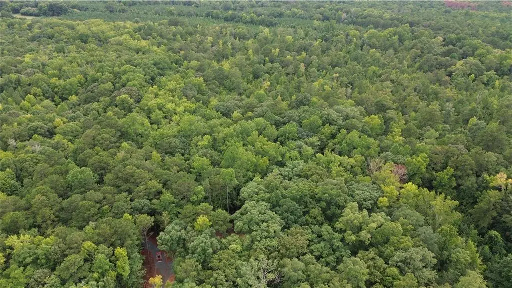 0 Roosevelt Hwy - 20.58 Acres, Warm Springs, GA 31830 - #1