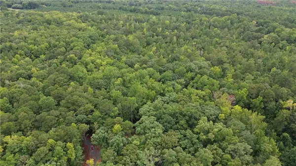 0 Roosevelt Hwy - 20.58 Acres, Warm Springs, GA 31830
