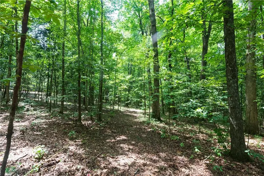 0 Roosevelt Hwy - 20.58 Acres, Warm Springs, GA 31830 - #2