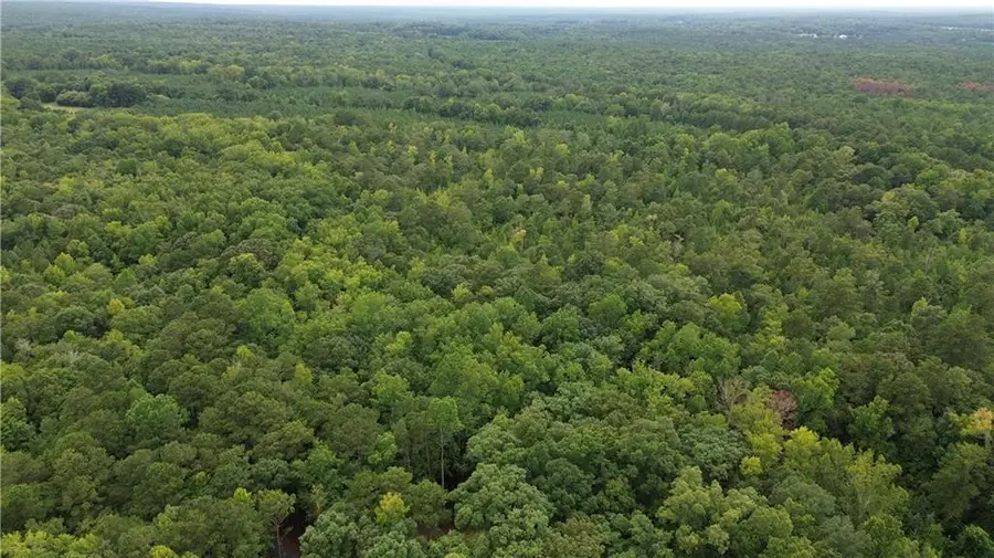 0 Roosevelt Hwy - 20.58 Acres, Warm Springs, GA 31830 - #3