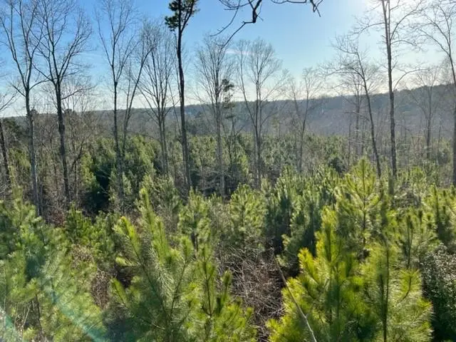 0 Luke Edwards Road, Dacula, GA 30019 - #3