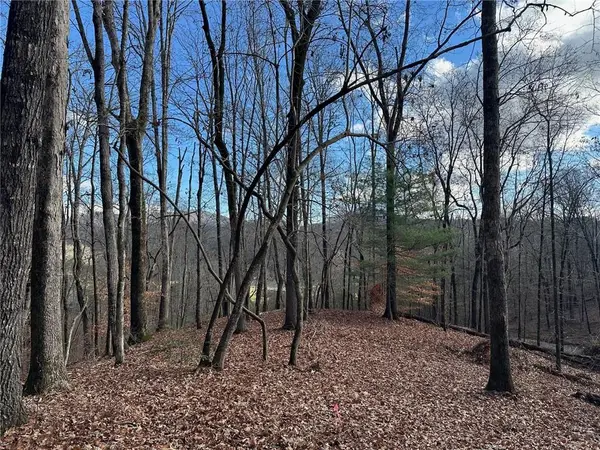 200 Mincey Acres Drive, Murrayville, GA 30564