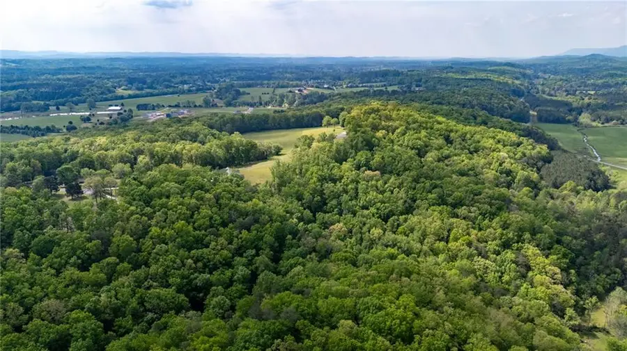 0 Bicentennial Trail, Rock Spring, GA 30739 - #3