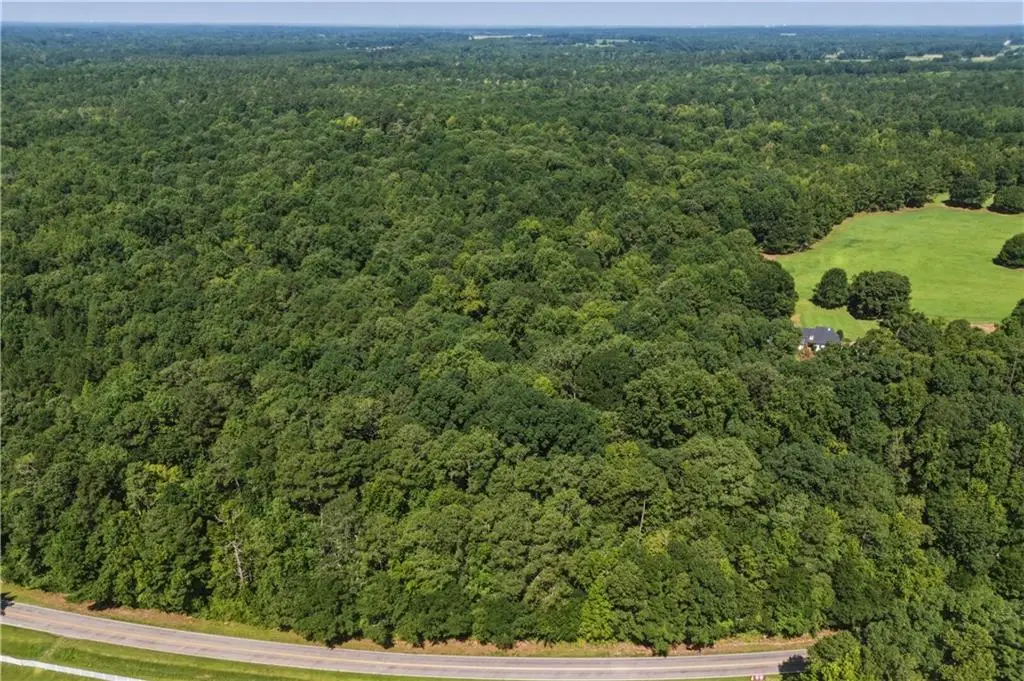 3120 Highway 229, Mansfield, GA 30055 - #1