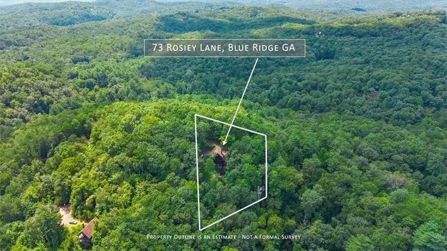 73 Rosiey Lane, Blue Ridge, GA 30513 - #2