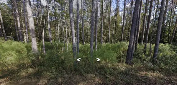 0 Holly Road Tract 3, Bowdon, GA 30108