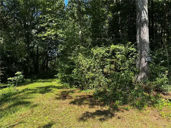 00 Overbrook Drive, Temple, GA 30179
