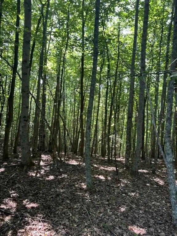 Tract A Oak Ledge Road, Morganton, GA 30560 - #3