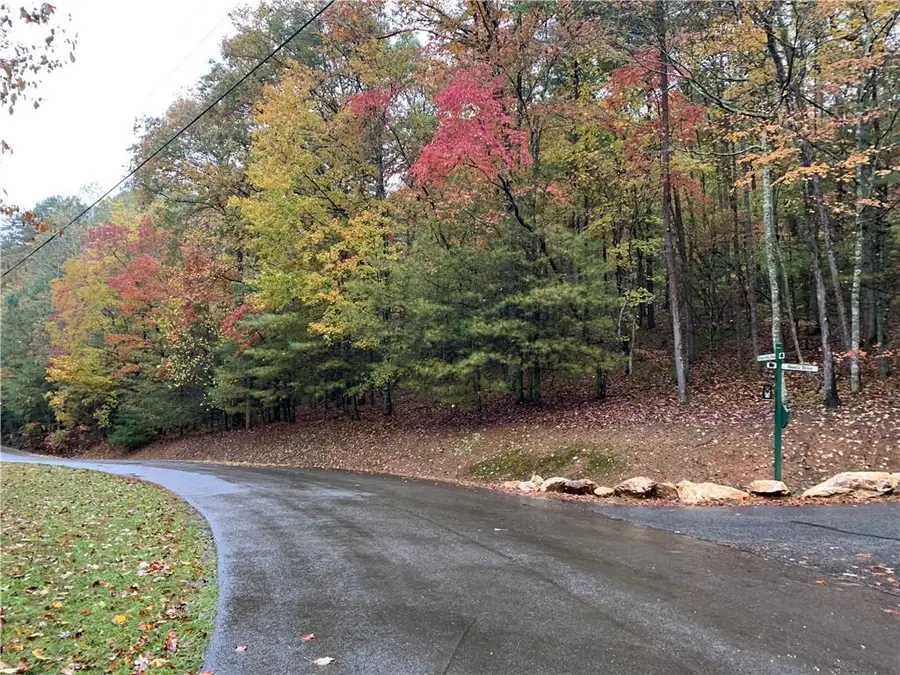 9 Dover Falls Trail, Ellijay, GA 30540 - #2