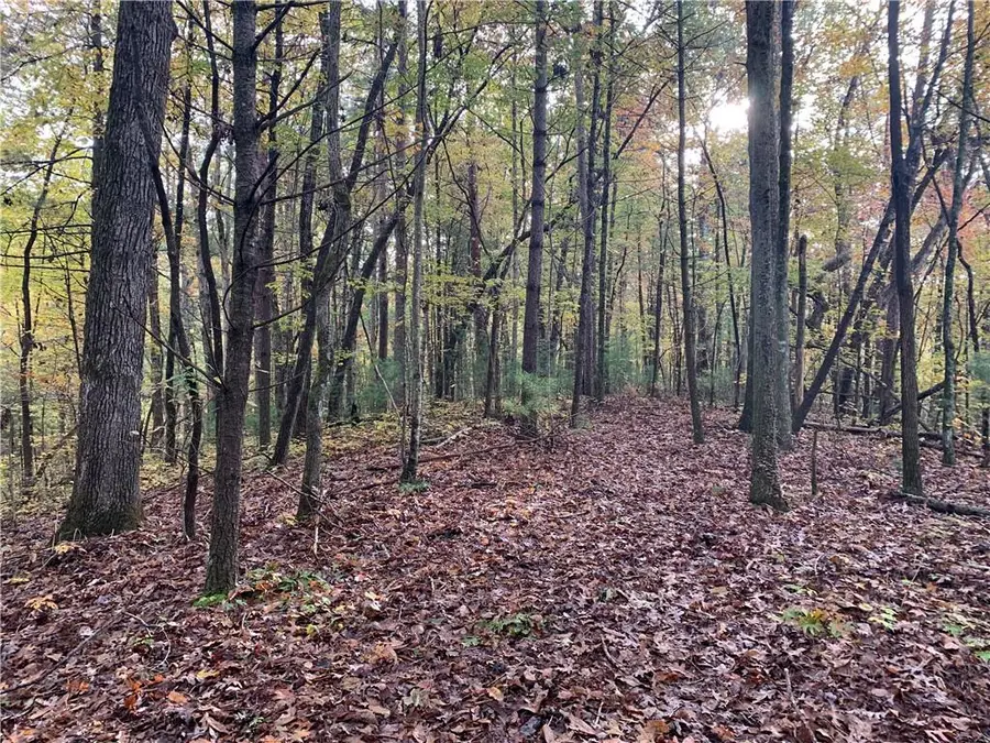 9 Dover Falls Trail, Ellijay, GA 30540 - #3