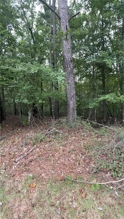 5850 Double Birch, Douglasville, GA 30135