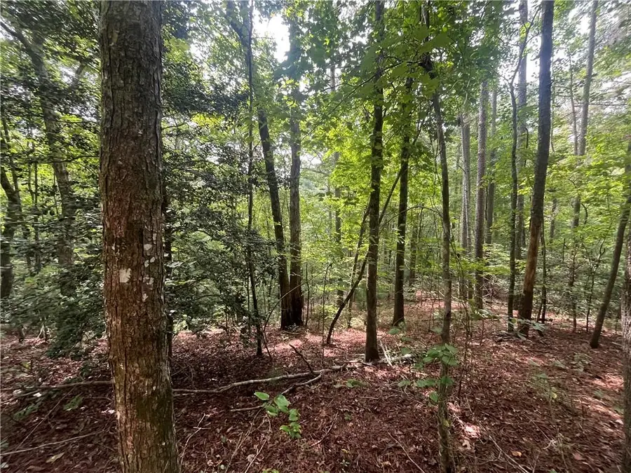 0 Nugget Court, Ellijay, GA 30540 - #2