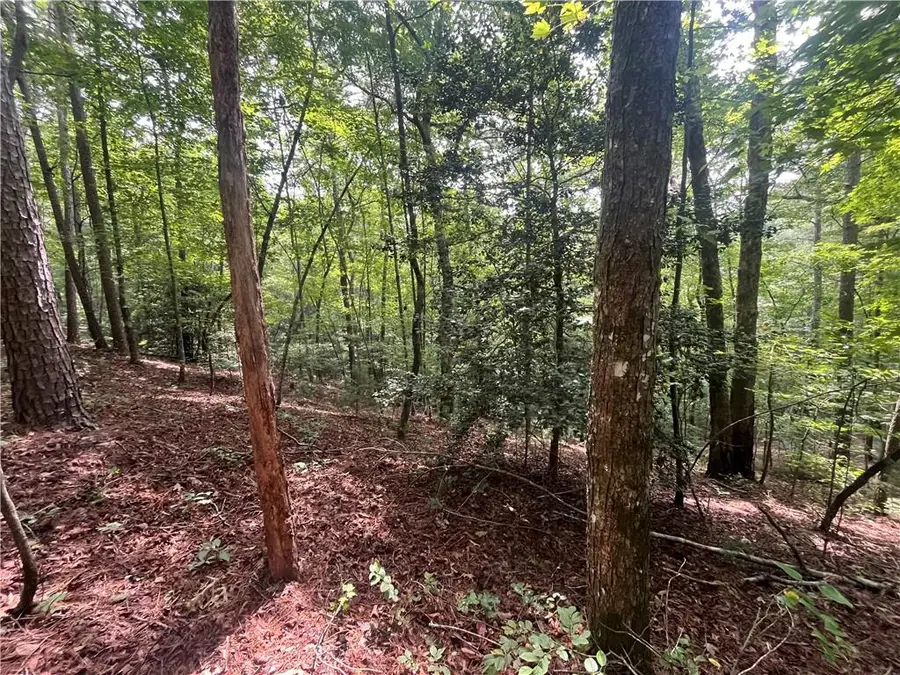 0 Nugget Court, Ellijay, GA 30540 - #3