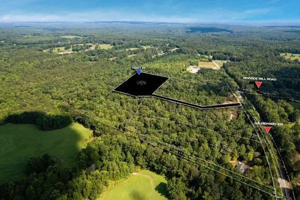 7804 Georgia Highway 100, Buchanan, GA 30113 - #1