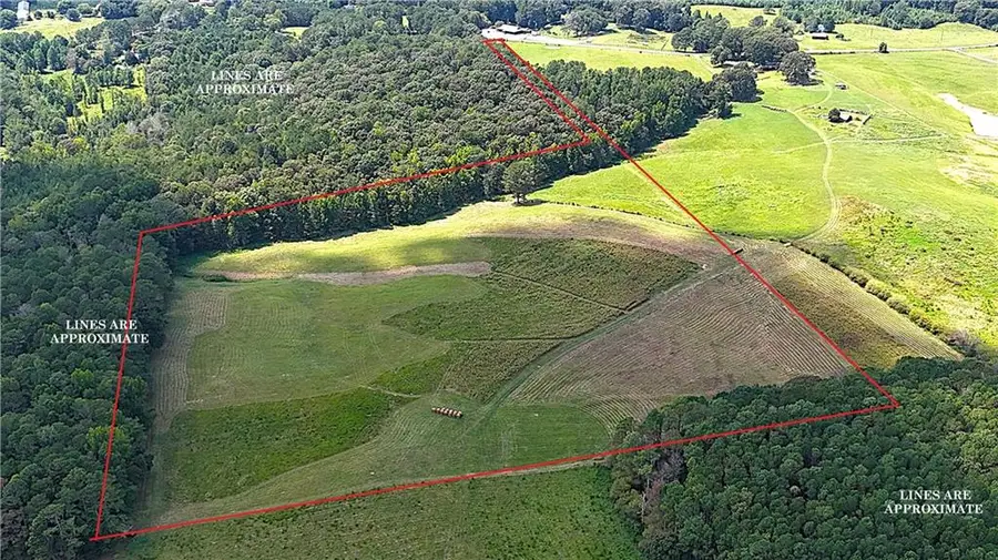 00001 Steadman Road, Tallapoosa, GA 30176 - #3