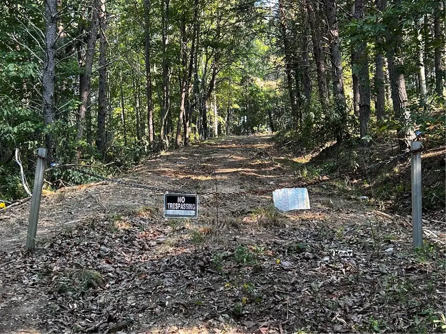 330 Wild Azalea Trail, Waleska, GA 30183 - #2