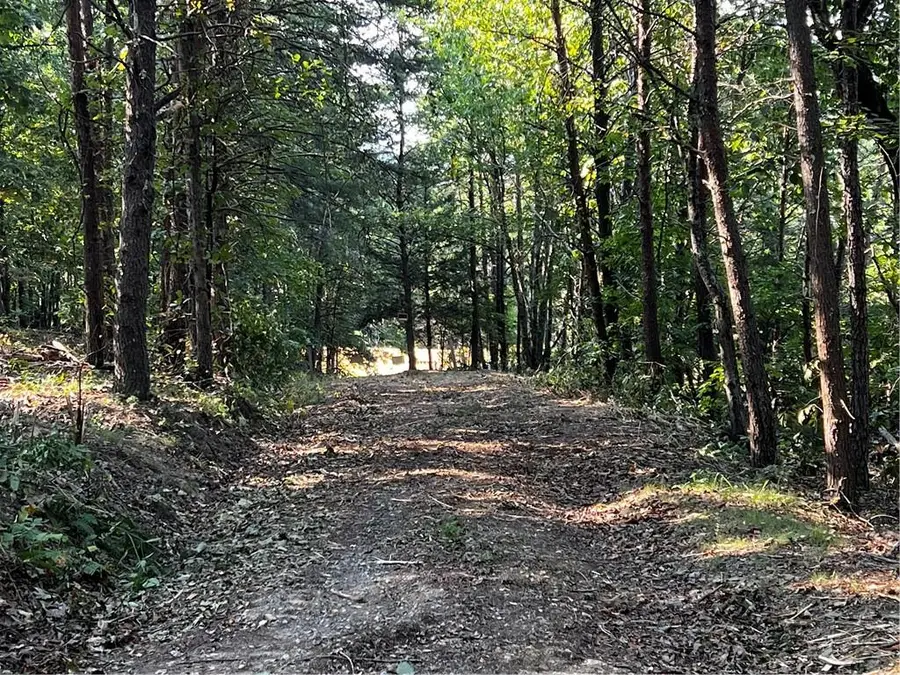 330 Wild Azalea Trail, Waleska, GA 30183 - #3