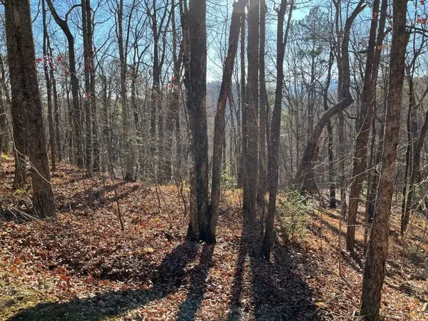 LOT #1 Forest Canopy Way, Clayton, GA 30525