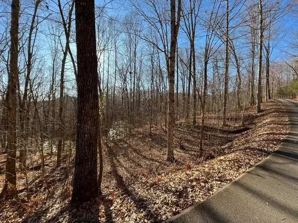 LOT #2 Forest Canopy Way, Clayton, GA 30525