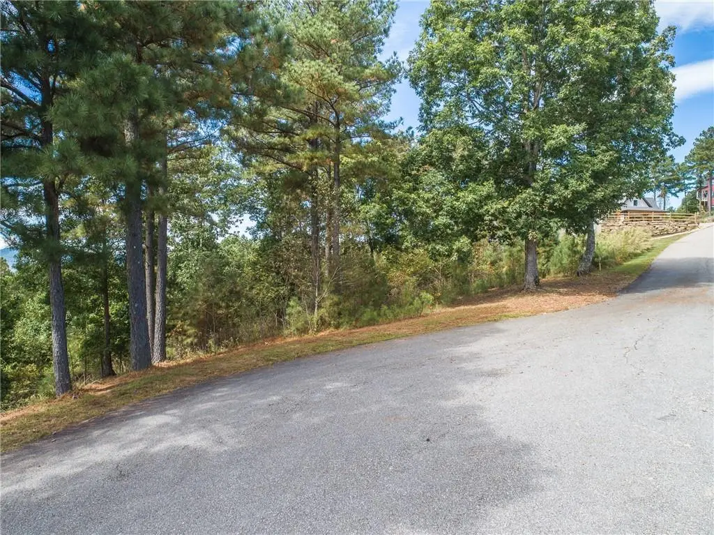 Lot 14 Mile High Lane, Blairsville, GA 30512 - #1