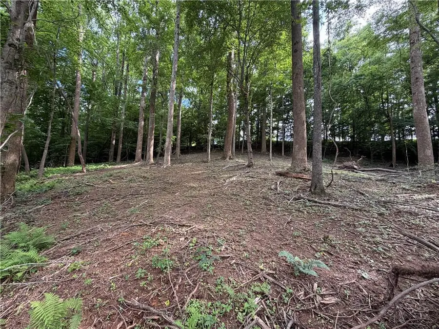 0 Martin Head Circle, Dahlonega, GA 30533 - #2
