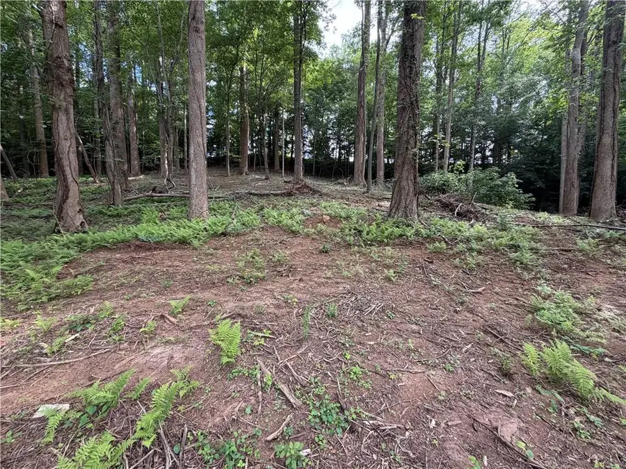 0 Martin Head Circle, Dahlonega, GA 30533 - #3