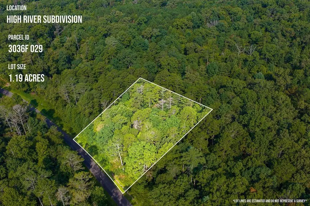 186 Pinnacle Drive, Ellijay, GA 30540 - #1