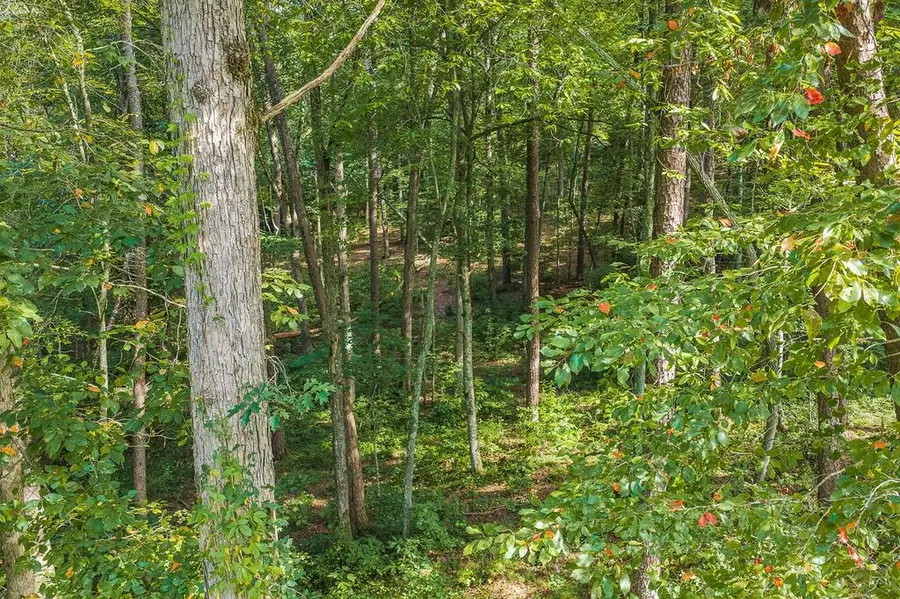 186 Pinnacle Drive, Ellijay, GA 30540 - #2
